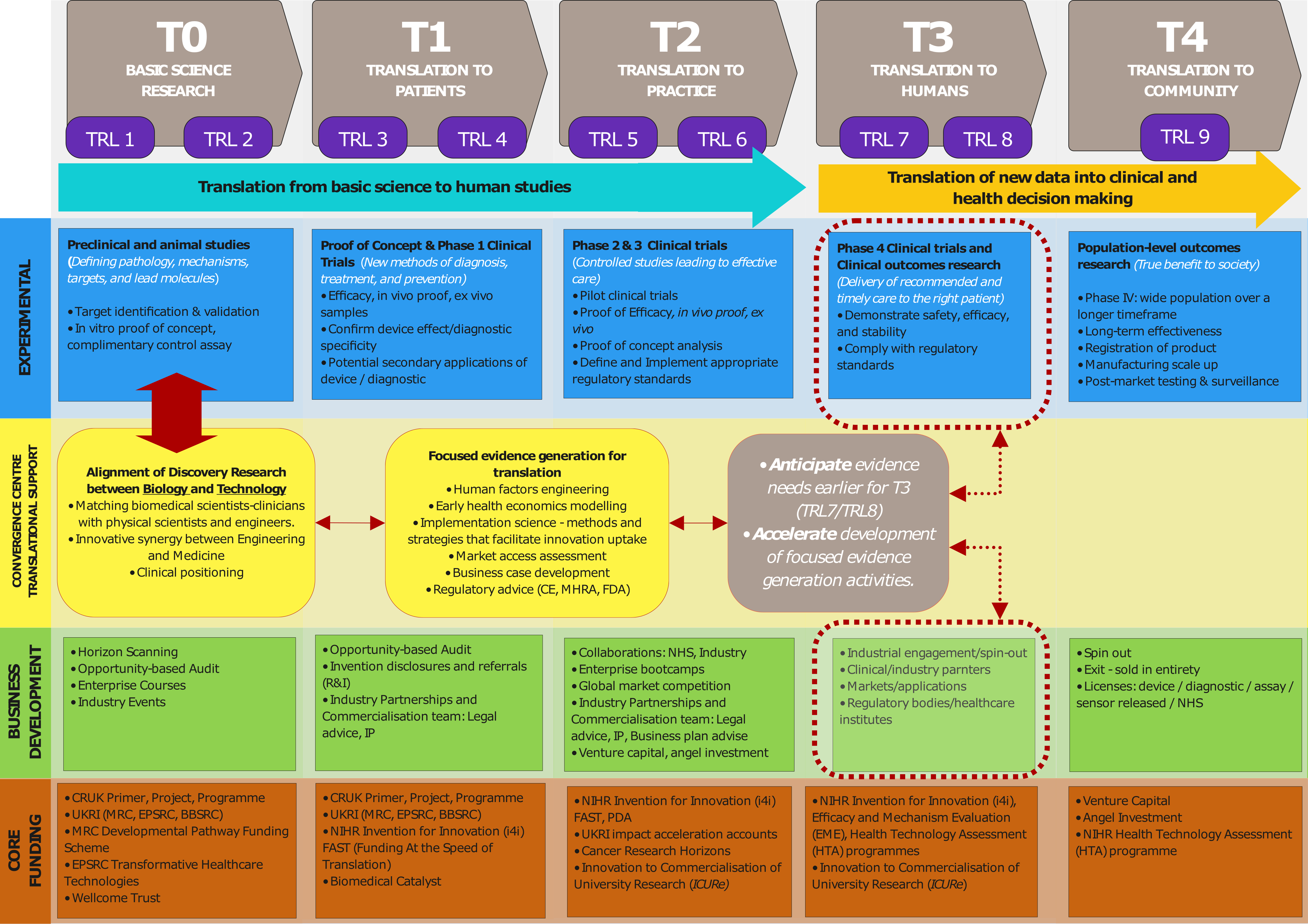 Translational pathway