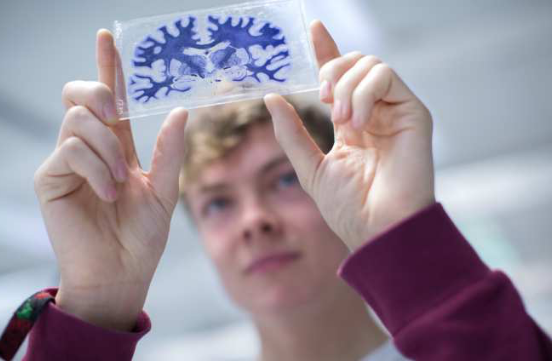 Student working in lab